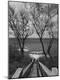Photographic Print