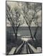 Photographic Print