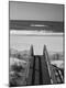 Premium Photographic Print