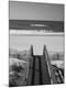 Premium Photographic Print