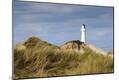 Premium Photographic Print