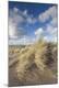 Premium Photographic Print