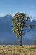 Premium Photographic Print