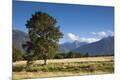 Premium Photographic Print