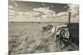 Photographic Print