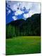 Photographic Print
