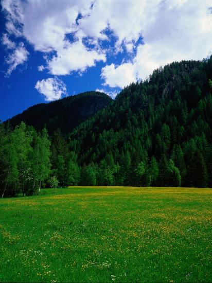 Photographic Print, , large