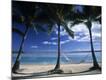 Premium Photographic Print