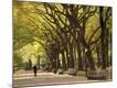 Premium Photographic Print