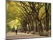 Photographic Print