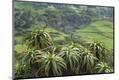 Premium Photographic Print