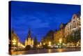 Stretched Canvas Print