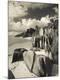 Photographic Print