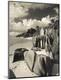Photographic Print