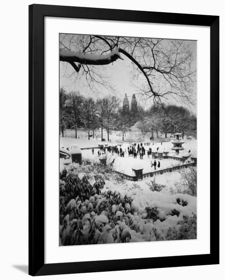 Photographic Print, , large