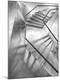 Premium Photographic Print