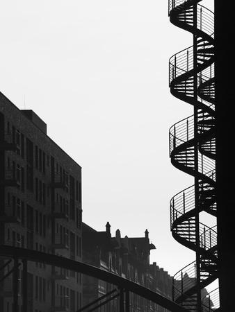 Black and white hamburgs hotsell