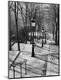 Photographic Print