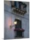Premium Photographic Print
