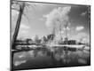 Photographic Print