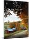 Photographic Print