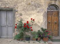 Tuscan Doorway in Castellina in Chianti, Italy-Walter Bibikow-Framed Photographic Print