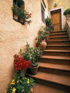 Tuscan Staircase, Italy by Walter Bibikow