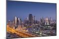 Premium Photographic Print