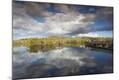 Photographic Print