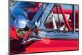 Premium Photographic Print