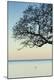 Premium Photographic Print