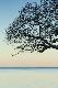 Premium Photographic Print