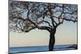 Premium Photographic Print