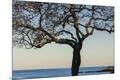 Premium Photographic Print