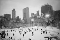 Central Park, New York City, Ny, USA-Walter Bibikow-Photographic Print