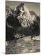 Photographic Print