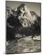 Photographic Print