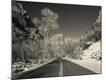 Photographic Print