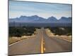 Photographic Print