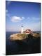 Premium Photographic Print