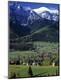 Photographic Print