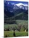 Photographic Print