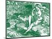 Giclee Print