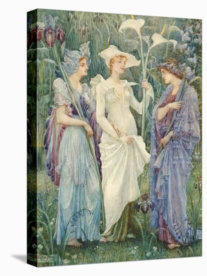 Stretched Canvas Print, , large