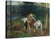 Stretched Canvas Print