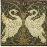With Satureja Savory and Marjoram Personified-Walter Crane-Premier Image Canvas