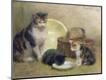 Giclee Print