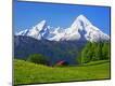 Photographic Print