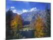 Photographic Print