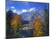 Photographic Print